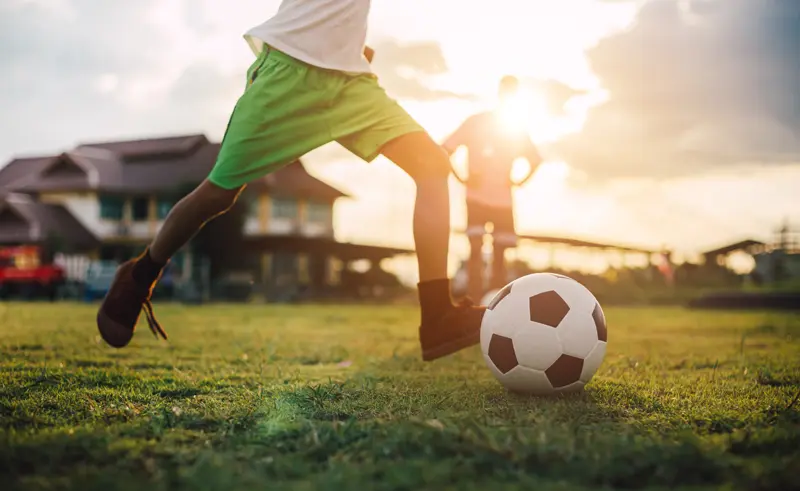 Adobestock 309210017 Adobestock 309210017